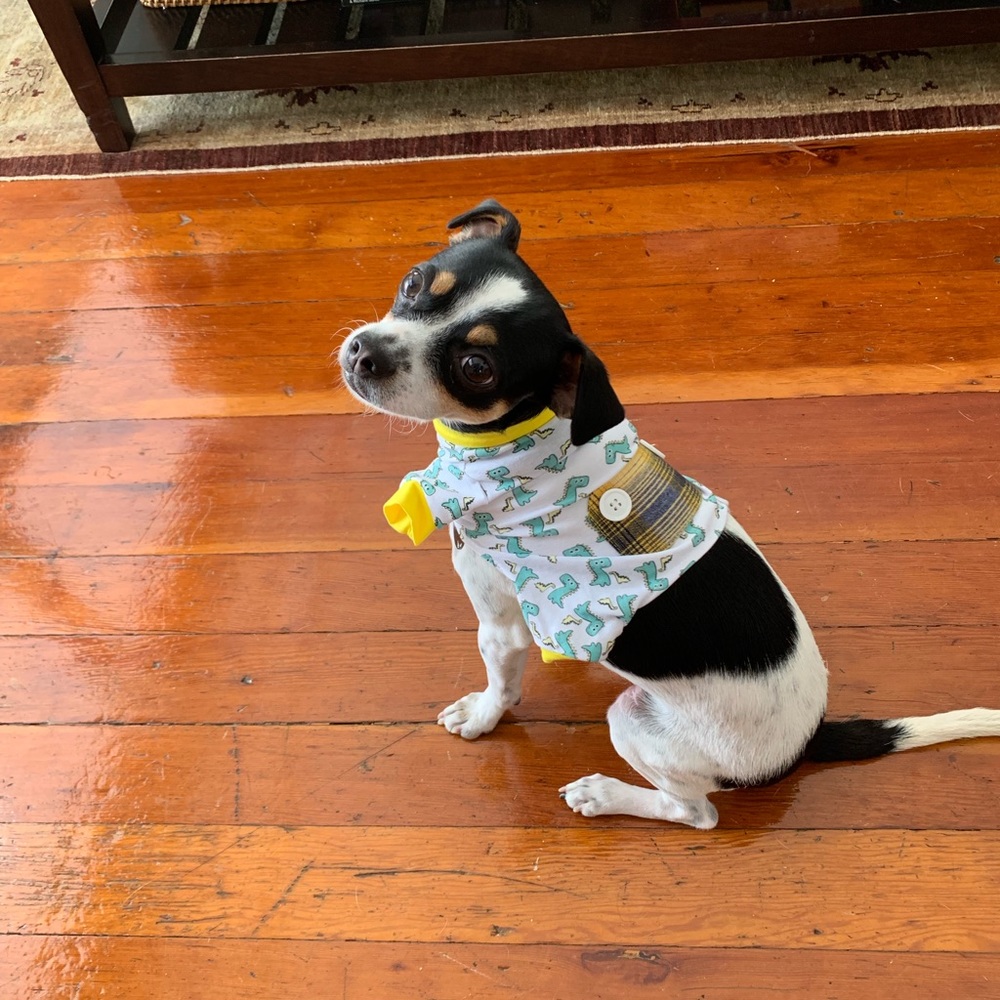 Meet your Posher, Emma